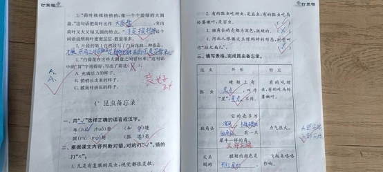白板上的文字&#xA;&#xA;描述已自动生成